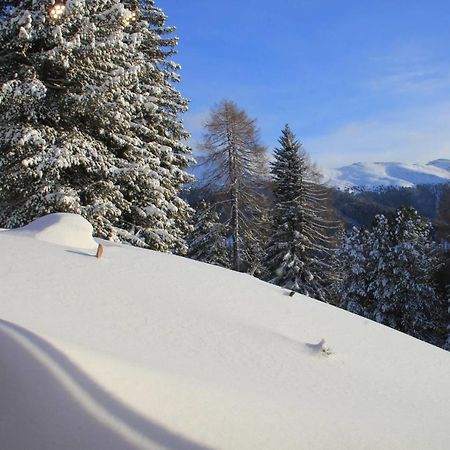 Chalet Claassen By Seebnb Turracher Hohe Zewnętrze zdjęcie